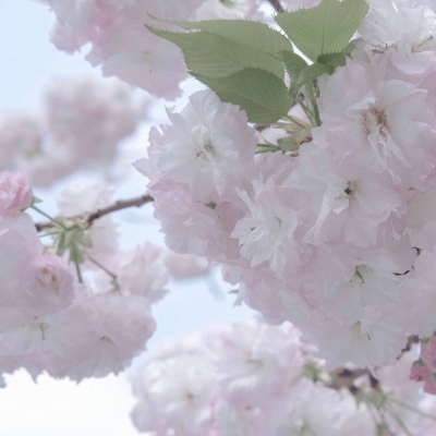 日照福瑞交流群